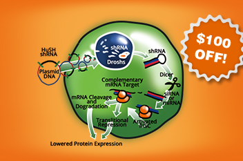 cDNA clone promotion banners